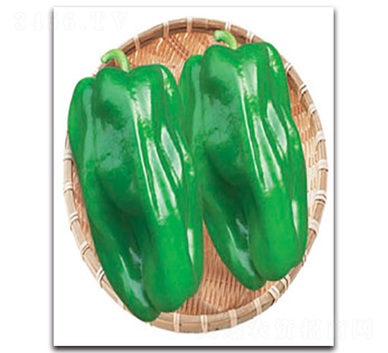 �f��A4-�����N��-�S�r(n��ng)�r(n��ng)�I(y��)