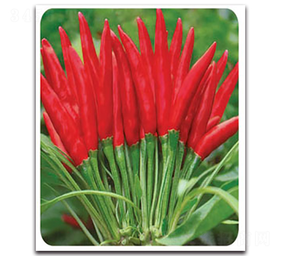 ������-�����N��-�S�r(n��ng)�r(n��ng)�I(y��)