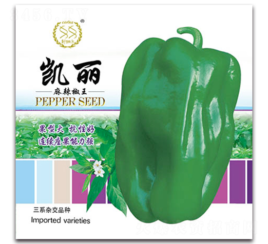 �P��-�����N��-�S�r(n��ng)�r(n��ng)�I(y��)