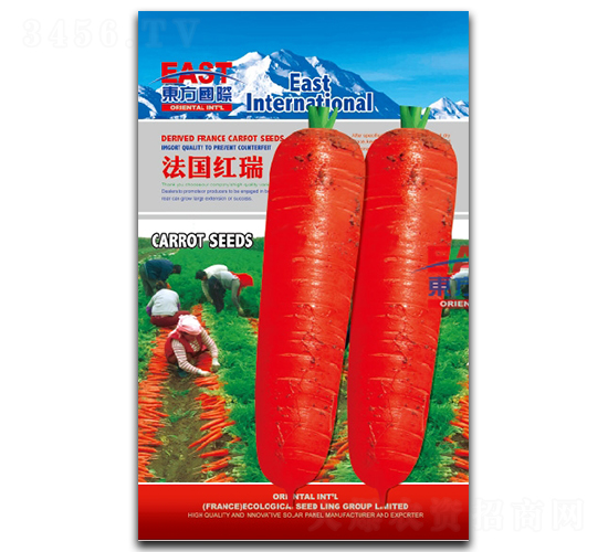 ����(gu��)�t��-���}���N��-�����_(d��)