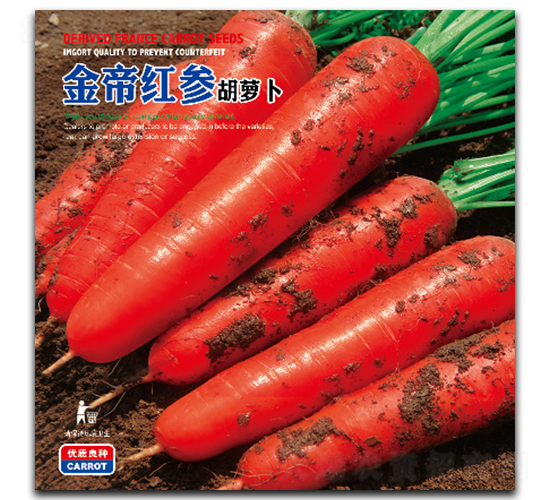 ��ۼt��-���}���N��-�����_