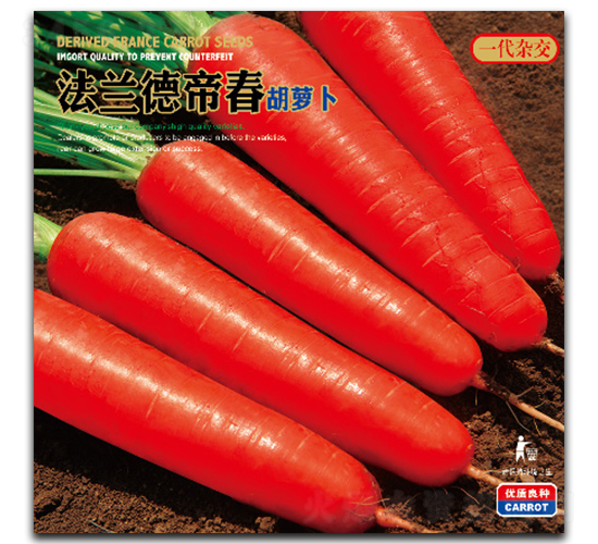 ���m�µ۴�-���}���N��-�����_