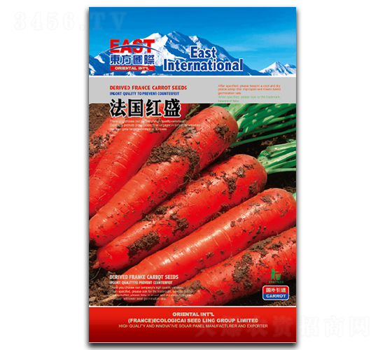 �����tʢ-���}���N��-�����_(d��)