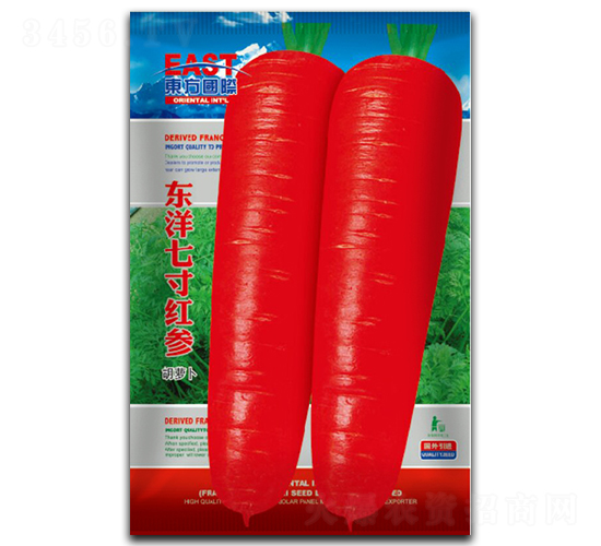 �|���ߴ�t��-���}���N��-�����_(d��)