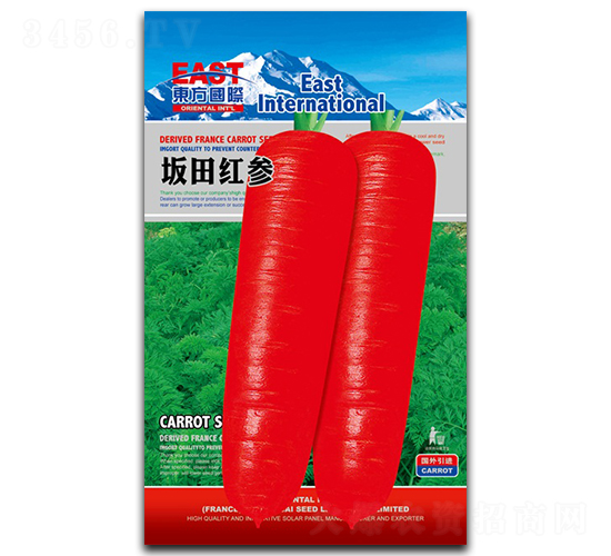 ����t��-���}���N��-�����_