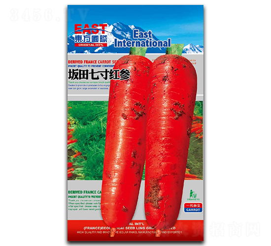 �����ߴ�t-���}���N��-�����_