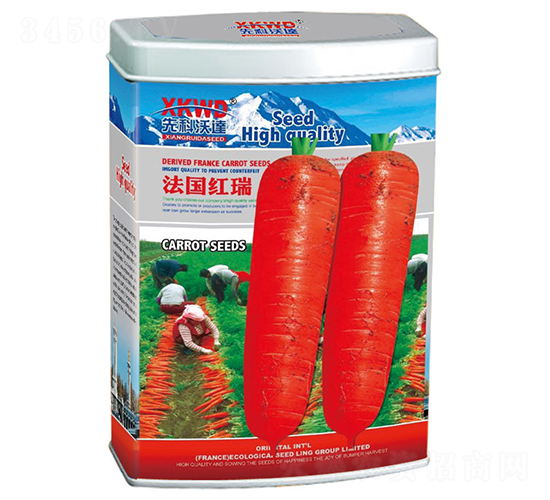 �����t�𣨹ޣ�-���}���N��-�����_