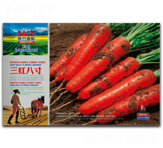 ���t�˴�-���}���N��-�����_(d��)