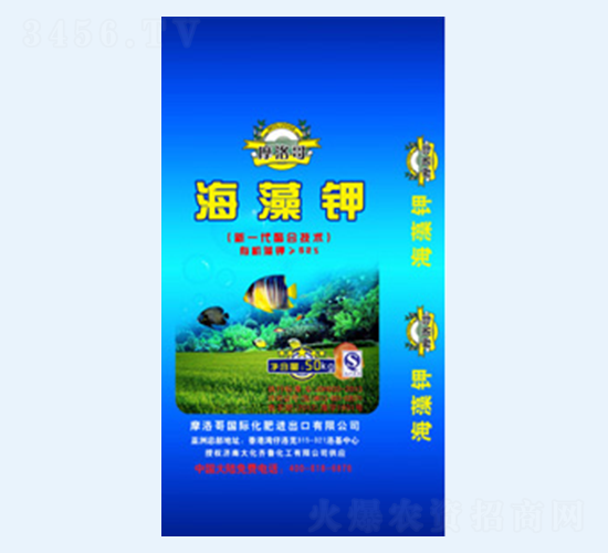 Ħ��纣���-���R��