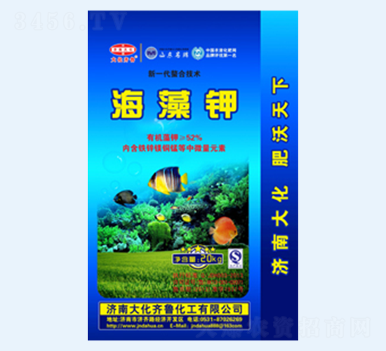 ��һ�����Ϻ����-���R��