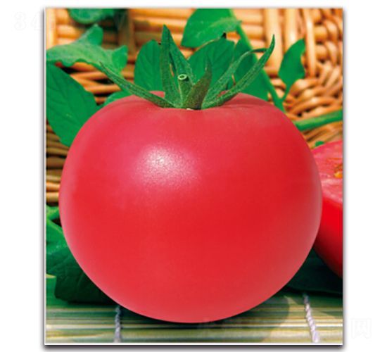 ؐ��-���ѷN��-�����r(n��ng)