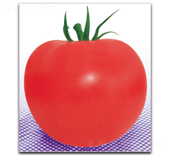 �۵�-���ѷN��-�����r