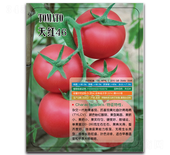 ��t46-���ѷN��-�����r(n��ng)