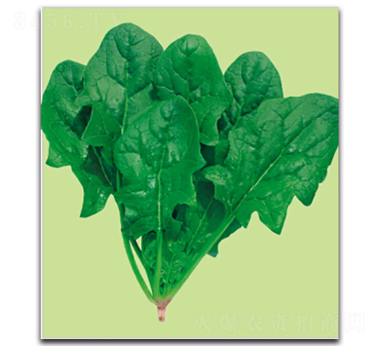 �S��-���˷N��-�����r