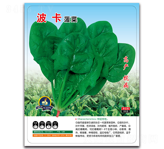 ��������-���˷N��-�����r(n��ng)