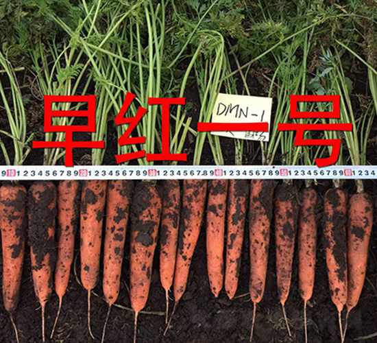 ��tһ̖-�}���N��-�����r(n��ng)