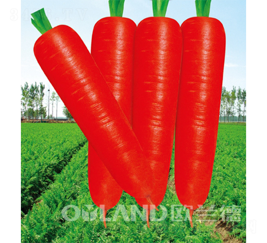 �|�����-���}���N��-�W�m��