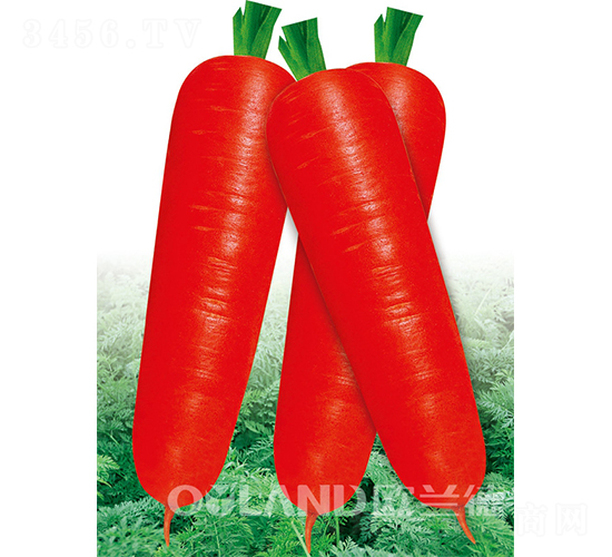 �|�(y��ng)7��-���}���N��-�W�m��