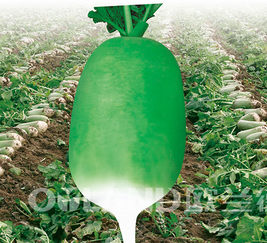 �д�791-�}���N��-�W�m��