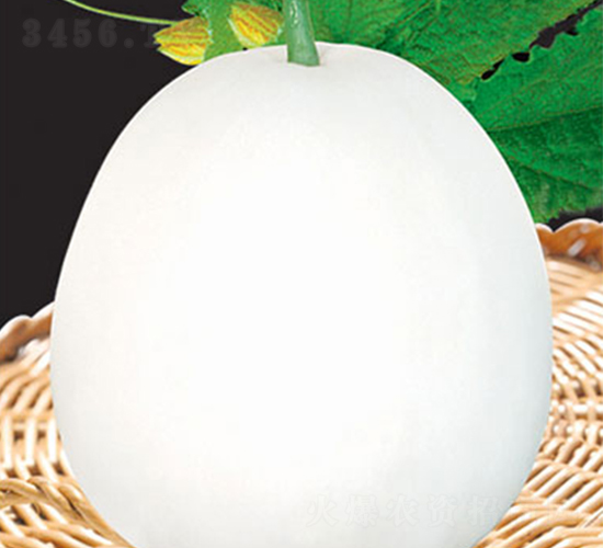 �_������-��ϷN��-�W�m��