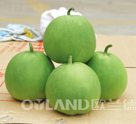 �_������-��ϷN��-�W�m��