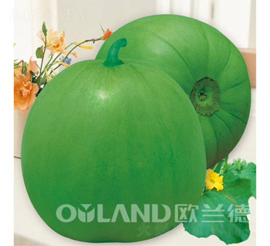 ���u����-��ϷN��-�W�m��