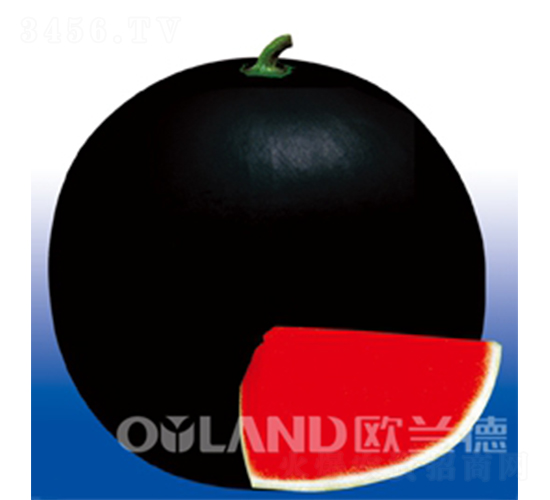 �����r(n��ng)�l(f��)30-���ϷN��-�W�m��