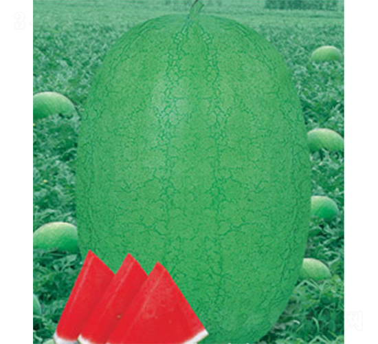 �G֮��-���ϷN��-�W�m��