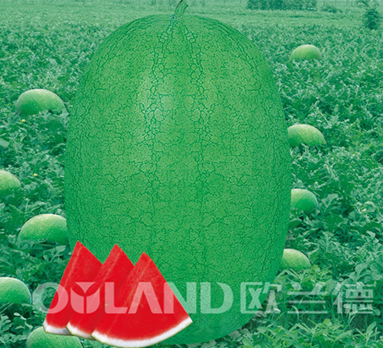 �G֮��-���ϷN��-�W�m��