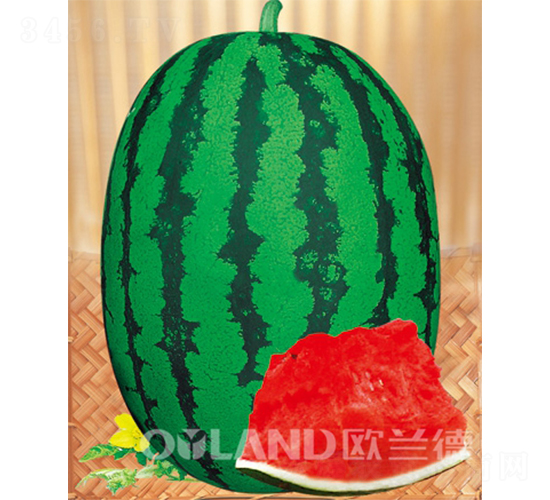 �A֮��-���ϷN��-�W�m��