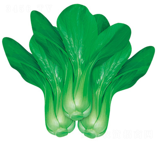 �W��303-�๣�˷N��-�W�m��