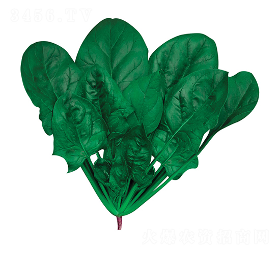 �~����-���˷N��-�W�m��