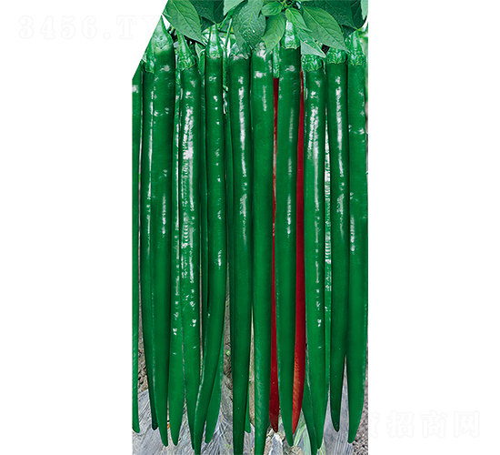 �W��214-�����N��-�W�m��