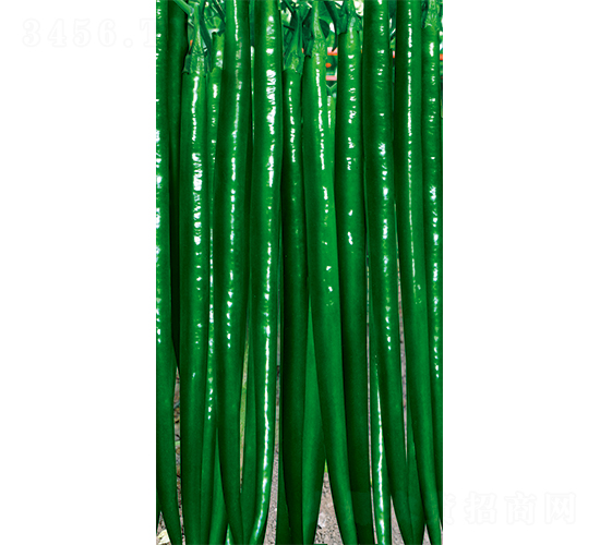 �W��314-�����N��-�W�m��