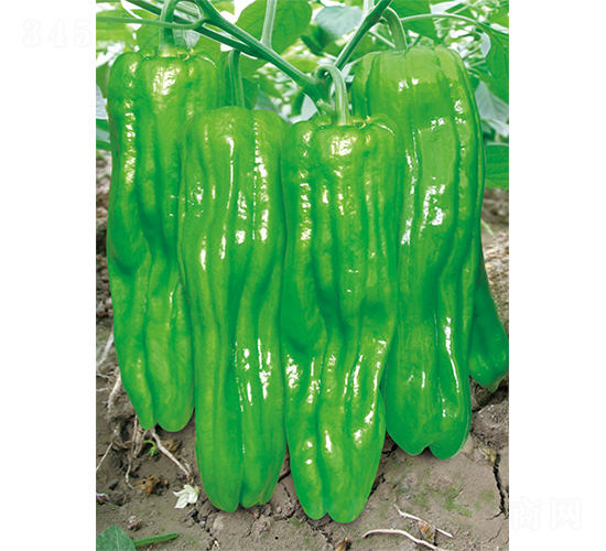 �W��700-�����N��-�W�m��