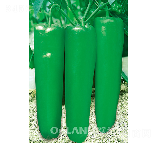 ���r(n��ng)601-�ݽ��N��-�W�m��