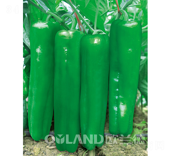 ���Ӗ(x��n)��(j��ng)���-�ݽ��N��-�W�m��