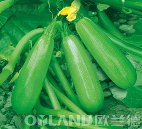 �߿�¶�ع�܊-�����J�N��-�W�m��