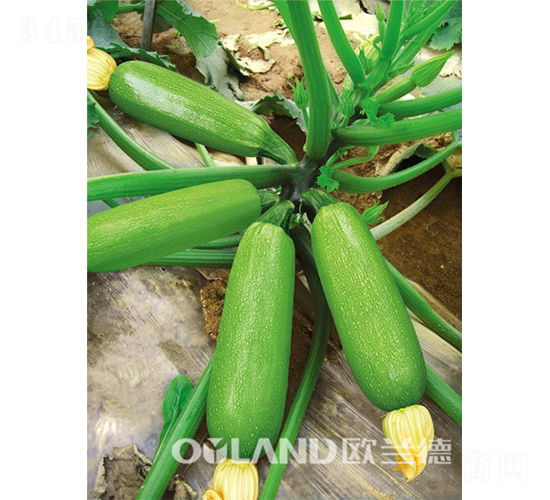 �W������܊-�����J�N��-�W�m��