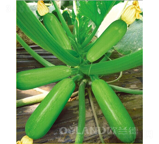 ������-�����J�N��-�W�m��