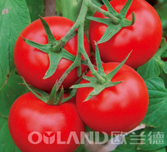 �W��318-���ѷN��-�W�m��