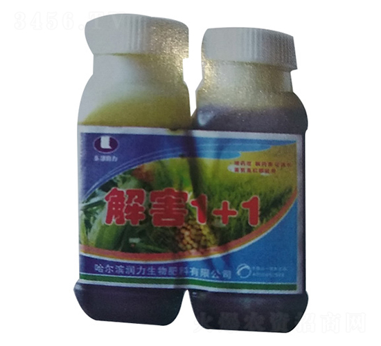 �⺦1+1-����