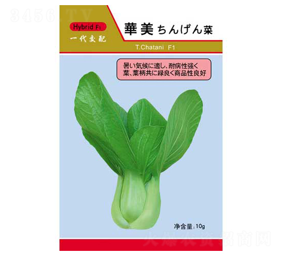 �A��-��˷N��-�P���r(n��ng)�I(y��)