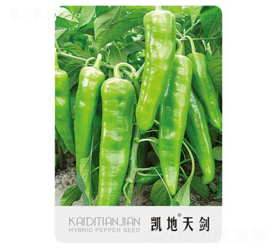 �P���섦-�����N��-�P���r(n��ng)�I(y��)