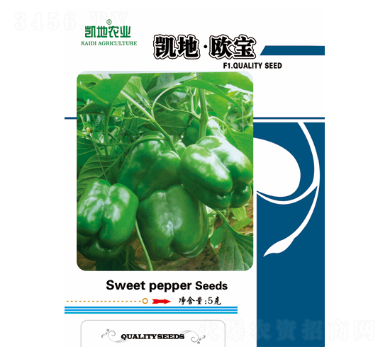 �P�ؚW��-�����N��-�P���r(n��ng)�I(y��)