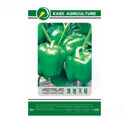 �P�����-�����N��-�P���r(n��ng)�I(y��)