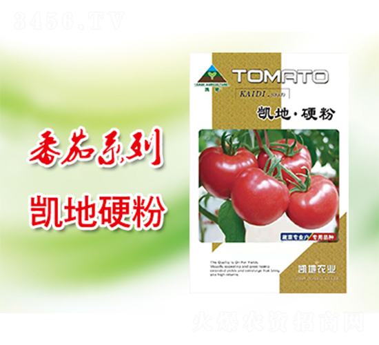 �P��Ӳ��-���ѷN��-�P���r(n��ng)�I(y��)