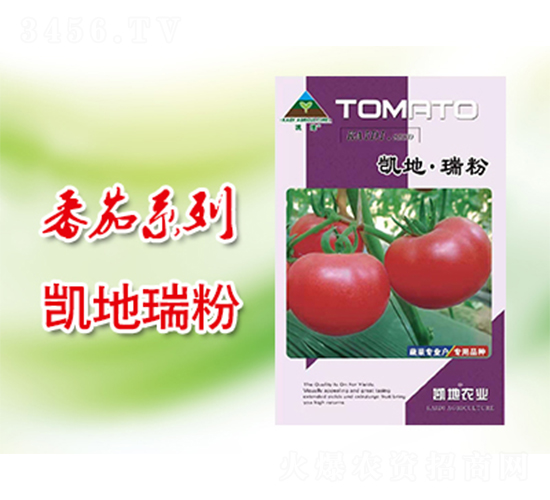 �P�����-���ѷN��-�P���r(n��ng)�I(y��)