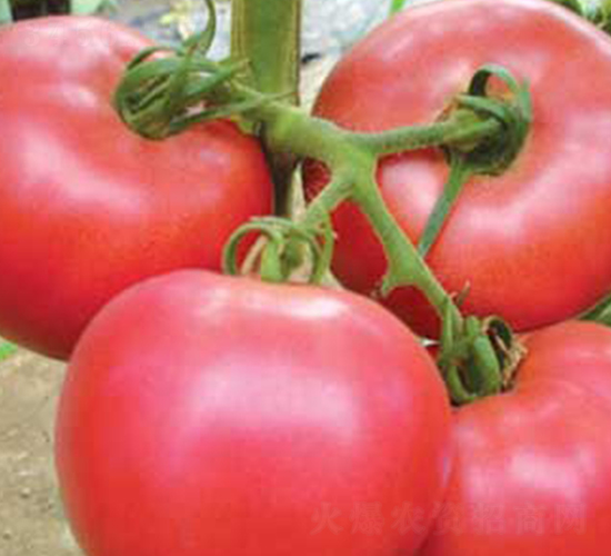 �W����-���ѷN��-�P���r(n��ng)�I(y��)