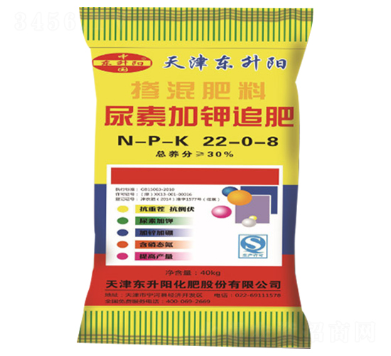 ���ؼ��׷��22-0-8-�|���